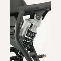 画像をギャラリービューアにロードします F1 FAT E-BIKE MSV
