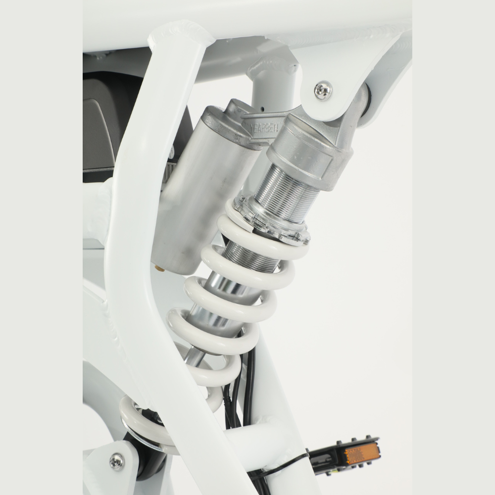 F1 FAT E-BIKE MWH | JEETA Active Life Shop