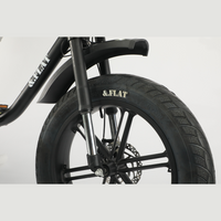 画像をギャラリービューアにロードします F1 FAT E-BIKE MKH

