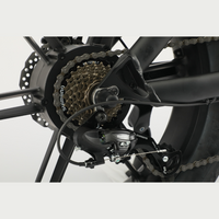 画像をギャラリービューアにロードします F1 FAT E-BIKE MKH
