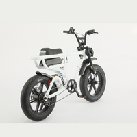 画像をギャラリービューアにロードします F1 FAT E-BIKE MWH
