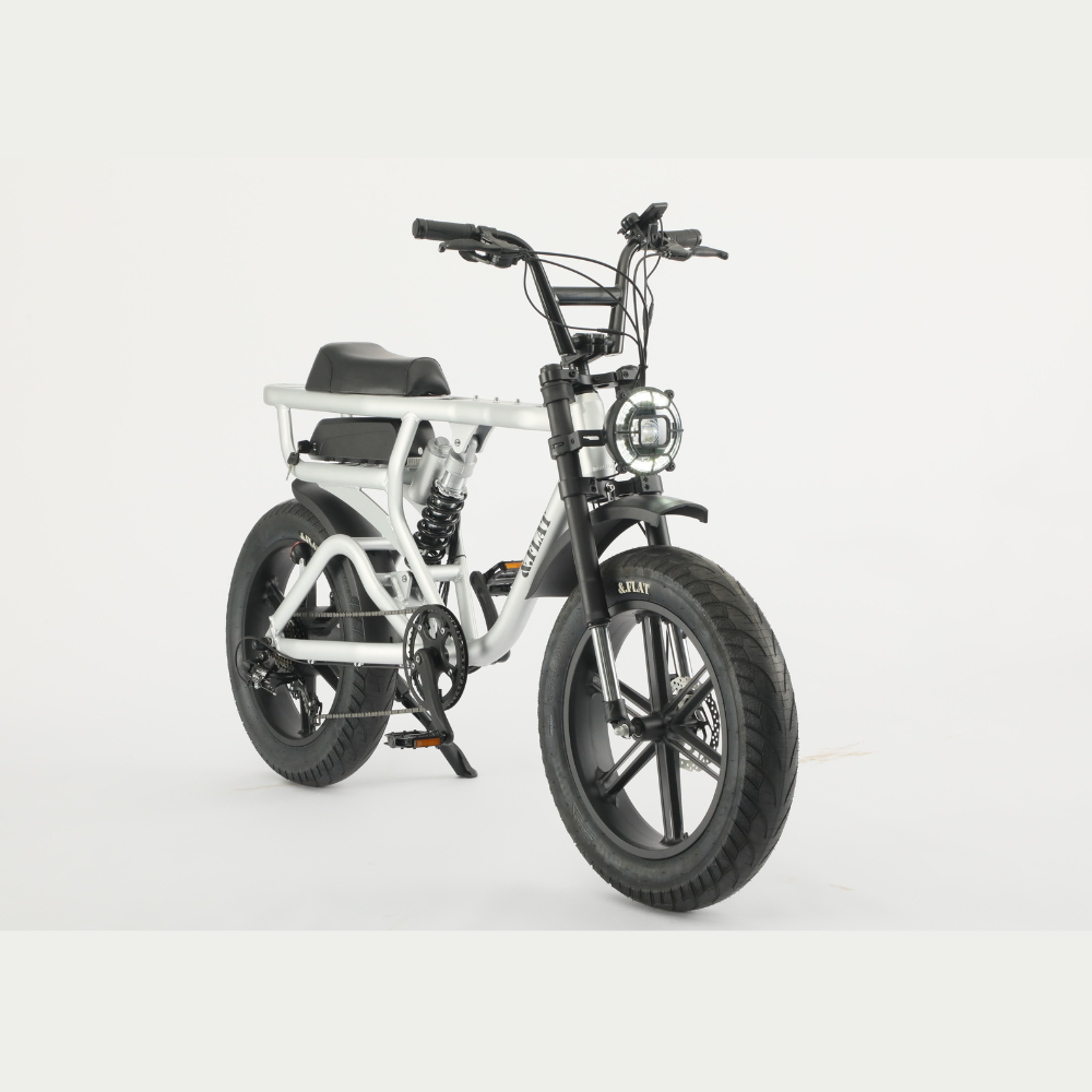 F1 FAT E-BIKE MSV