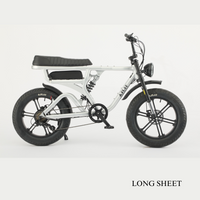 画像をギャラリービューアにロードします F1 FAT E-BIKE MSV
