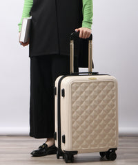 画像をギャラリービューアにロードします CARRY CASE  Sサイズ CM12-4-00025
