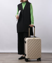 画像をギャラリービューアにロードします CARRY CASE  Sサイズ CM12-4-00025
