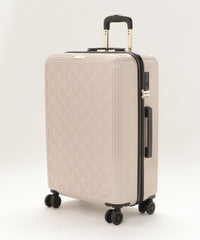 画像をギャラリービューアにロードします CARRY CASE  Lサイズ CM12-4-00026
