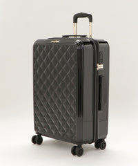 画像をギャラリービューアにロードします CARRY CASE  Lサイズ CM12-4-00026
