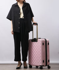 画像をギャラリービューアにロードします CARRY CASE  Lサイズ CM12-4-00026
