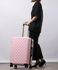 画像をギャラリービューアにロードします CARRY CASE  Lサイズ CM12-4-00026
