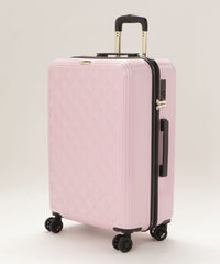 画像をギャラリービューアにロードします CARRY CASE  Lサイズ CM12-4-00026
