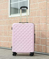 画像をギャラリービューアにロードします CARRY CASE  Lサイズ CM12-4-00026
