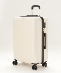 画像をギャラリービューアにロードします CARRY CASE  Lサイズ CM12-4-00026
